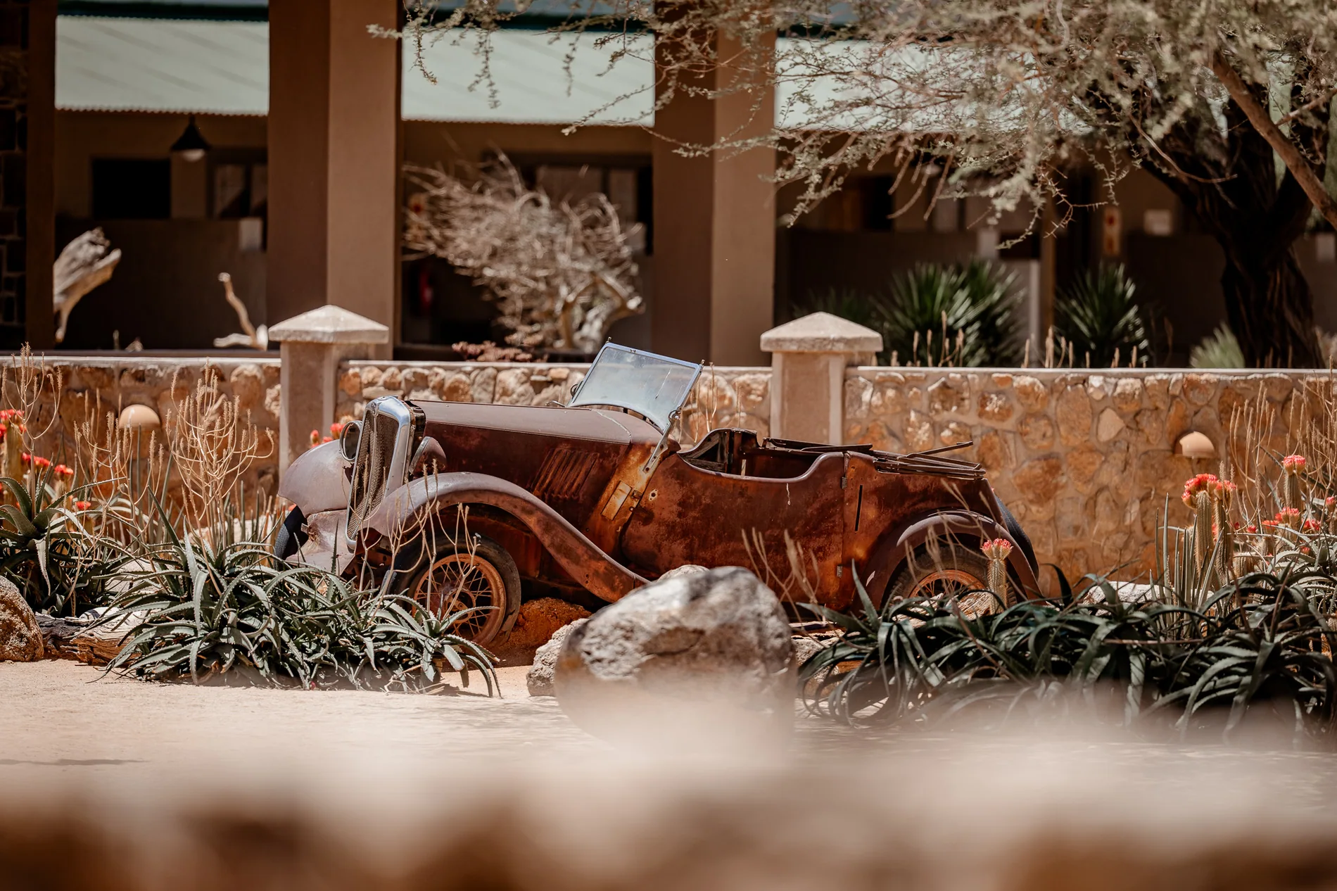 Solitaire: Oldtimer · Pflanzen · Patina