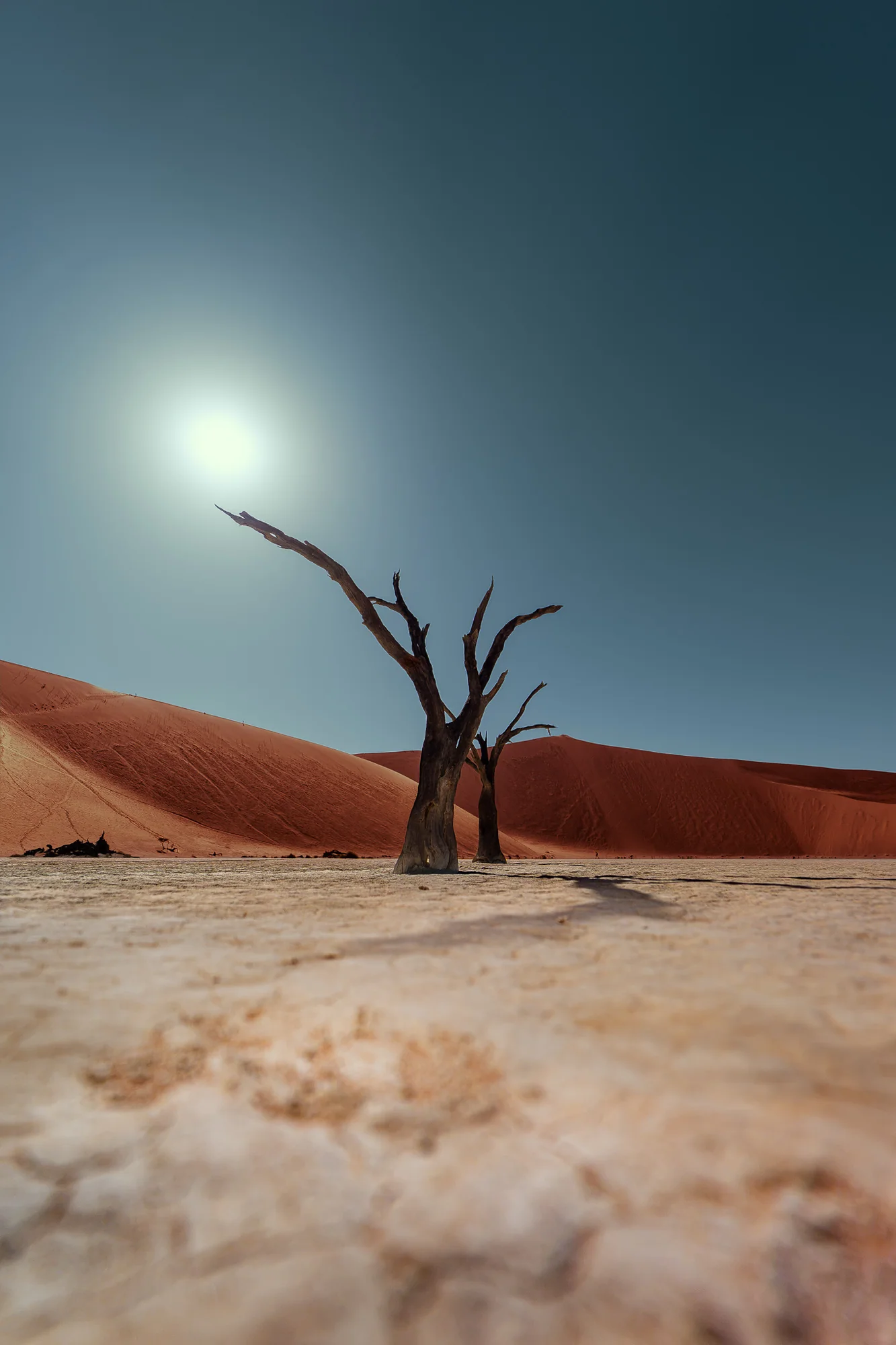 Deadvlei: Kameldornbaum · Dünen · Stille